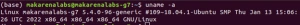 VCK5000 getting started: little tutorial, great acceleration