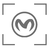 Logo Detection